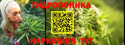 apvp Тара
