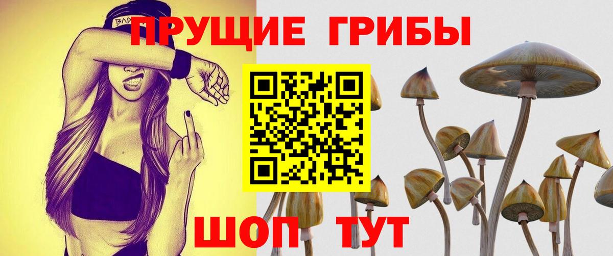 Галлюциногенные грибы Psilocybine cubensis  Галлюциногенные грибы MAGIC MUSHROOMS  Вход с VPN  Новочеркасск 
