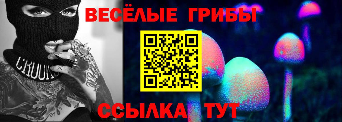 Галлюциногенные грибы мухоморы Новочеркасск
